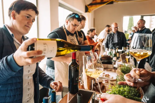 od repa do glave brda danjela &scaron;ibav