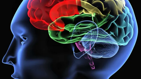 Zakaj si lahko zapomnite vsako besedo pesmi izpred 25 let, pozabite pa, zakaj ste pravzaprav &scaron;li v kuhinjo?