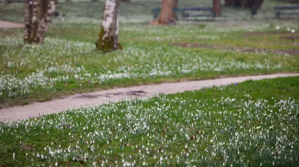 Ljubljana, Botanicni vrt.Festival zvonckov v Botanicnem vrtu Ljubljana.