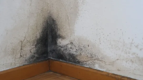 Sanacija vlage v zidovih - vzroki, re&scaron;itve in stro&scaron;ki