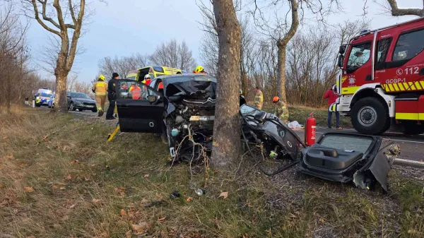Z avtom objel drevo: Iz zmečkane pločevine voznika re&scaron;ili gasilci iz Materije