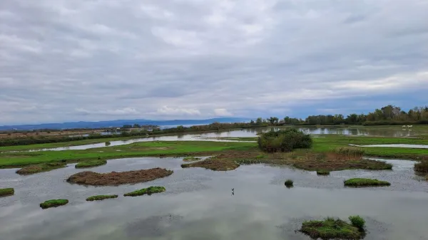 Biotska raznovrstnost severnega Jadrana kot skupna odgovornost