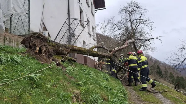 Posledice dana&scaron;njega močnega vetra v Cerknem