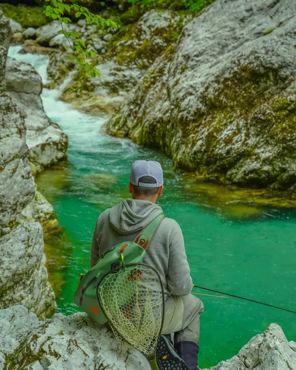 So&scaron;ka postrv plava med naravo, kulinariko, stroko in zabavo