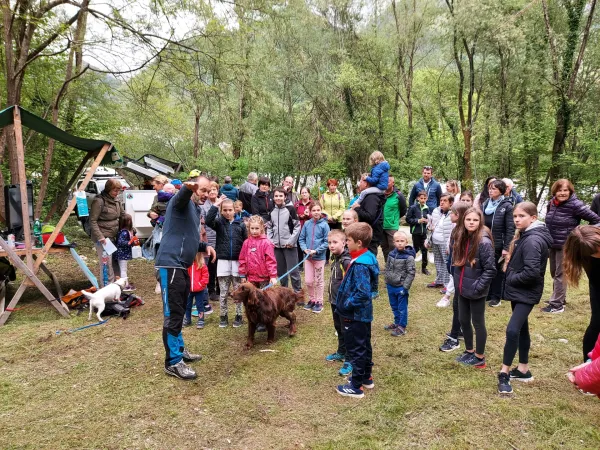 So&scaron;ka postrv plava med naravo, kulinariko, stroko in zabavo