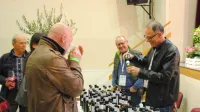 Festival oljčnega olja in vin &Scaron;empas