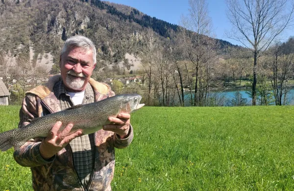 So&scaron;ka postrv ni več ogrožena, z lipanom bo &scaron;e veliko dela