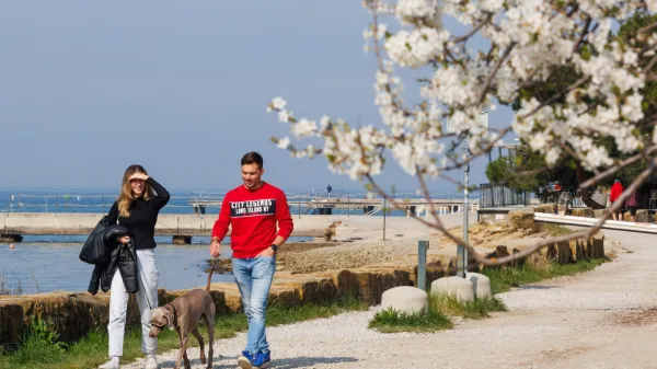 Strunjan, 10.3.2026Pomlad, Razglednice, lepo vreme, sprehajalci