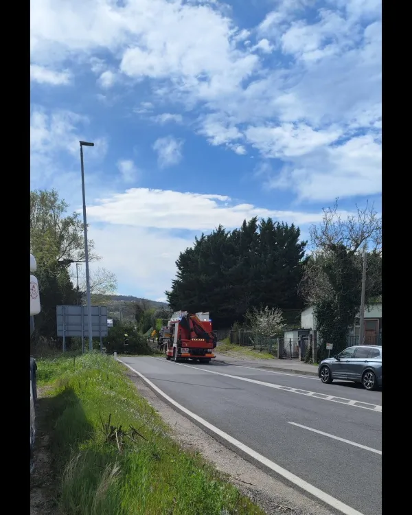 Padlo drevje na cesti Koper-Dragonja.