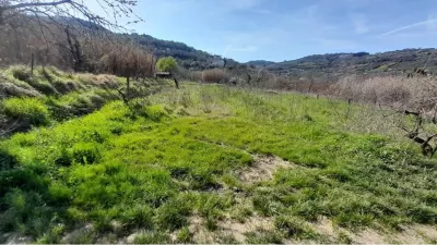 ?Olmo, lokacija, urbani vrtički, Koper