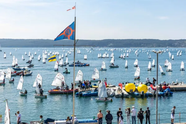 Pred Izolo jadralo skoraj 200 jadrnic, pred Portorožem pa 500 optimistov