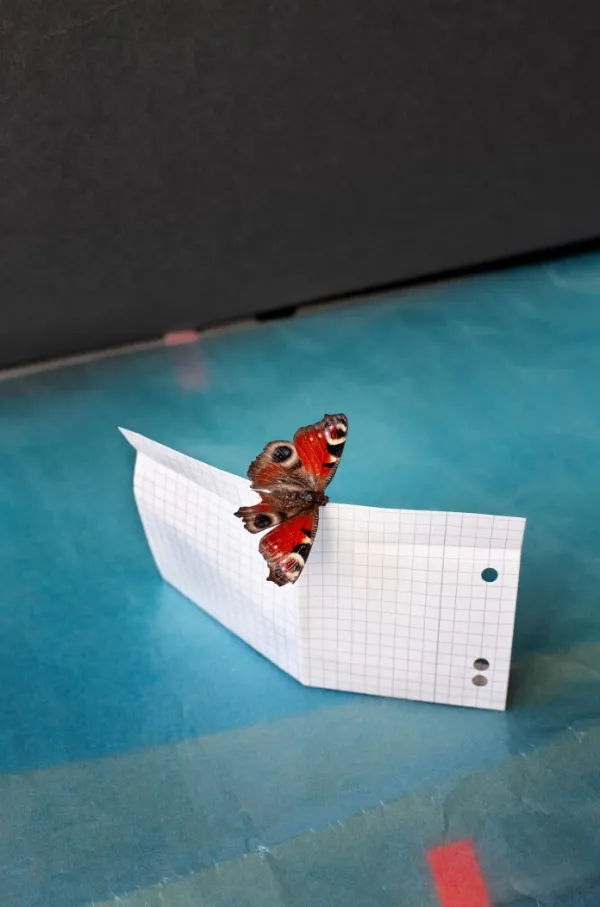 Uveljavljena primorska fotografinja Vanja Bućan se predstavlja v Galeriji GONG