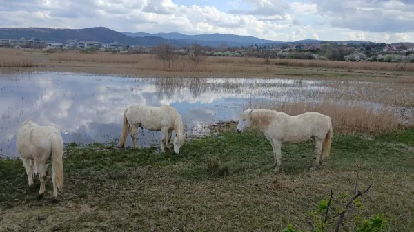 &Scaron;kocjanski zatok, marec 2026