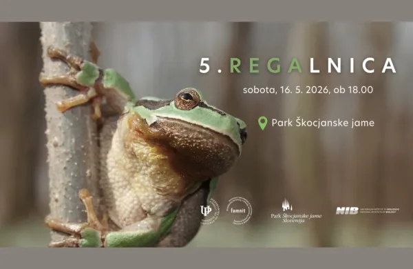 Tradicionalna Regalnica