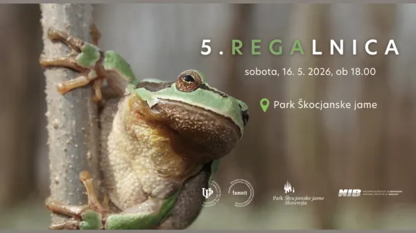 Tradicionalna Regalnica
