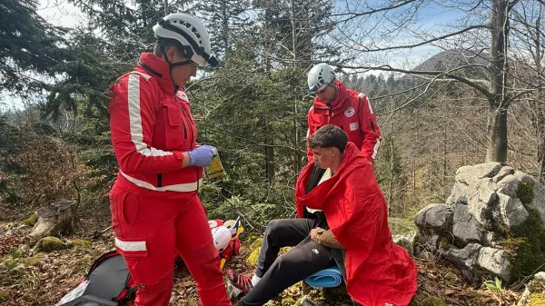 Medved napadel pohodnike, a le na vaji