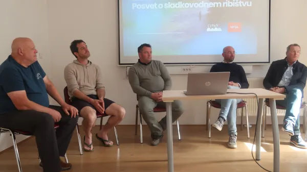 Rečni živelj od nekdanjih nebes v sedanji pekel
