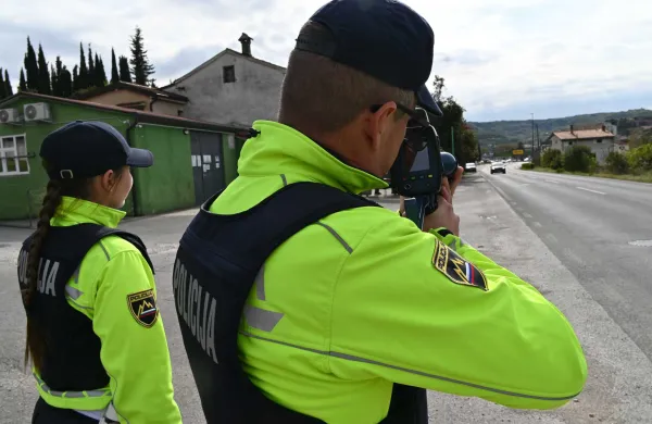 Hitrost jemlje življenja