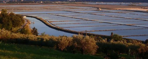 Sečoveljske soline so dragulj slovenske bioidverzitete 