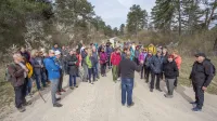 Lepotice s suhih in mokrih travnikov Piv&scaron;ke kotline
