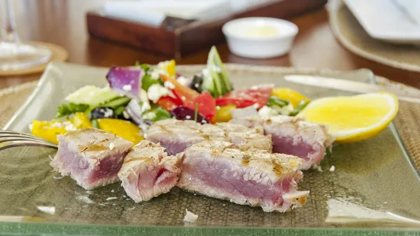 Večje plenilske ribe, kot je denimo tuna, vsebujejo velike količine težkih kovin.