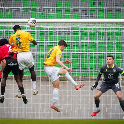 Vijolice to pomlad &scaron;e niso zacvetele