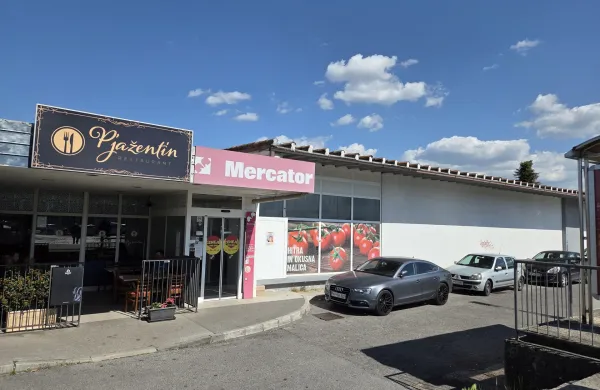 Roparja prijeli in izpustili