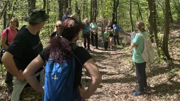 Trnovsko Gradi&scaron;če, skrivnostna Stražica, prazgodovinski zidovi in gomile nad Jasenom &ndash; vse to je arheolo&scaron;ka pokrajina, ki jo domačini pogosto spregledajo, a jo arheologinja in kustosinja Sabina Stambulić Pugelj že leta razkriva obiskovalcem na svojih tematskih pohodih. 