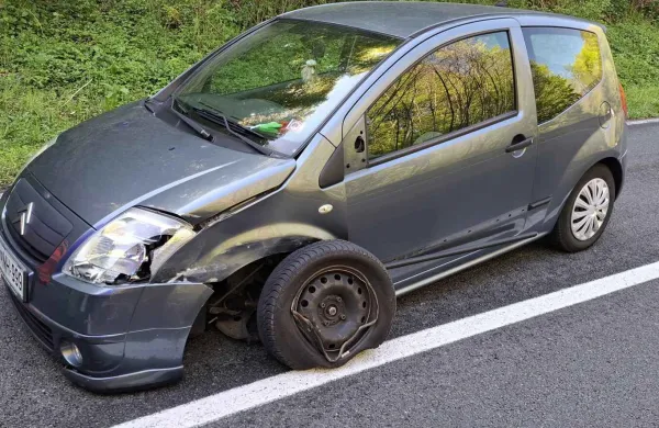 nesreča, dolenje, ilirska bistrica, jel&scaron;ane, gasilci