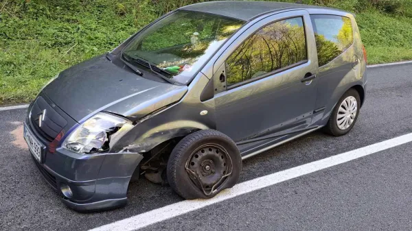 nesreča, dolenje, ilirska bistrica, jel&scaron;ane, gasilci