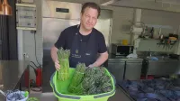 Čas za Divjo naravo na krožniku