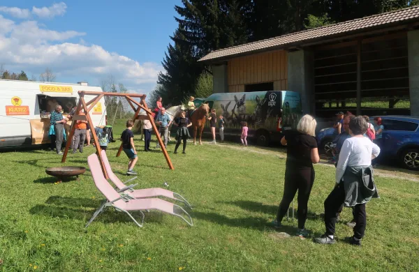 Da bi le bile spet o&scaron;tarije &ldquo;kod kodi&rdquo;