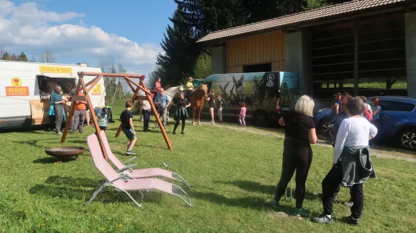 Da bi le bile spet o&scaron;tarije &ldquo;kod kodi&rdquo;
