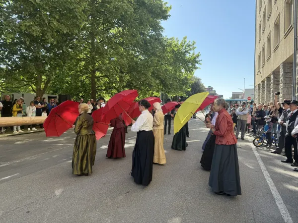 Danes popoldne so mlaj uspe&scaron;no pripeljali v Novo Gorico.