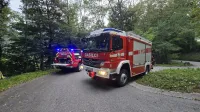 Gasilci PGD Tolmin