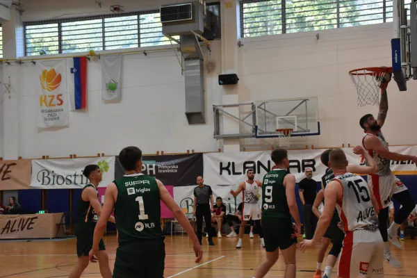  žiga dimec ko&scaron;arka ajdov&scaron;čina