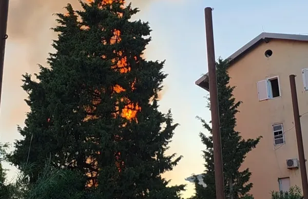 Je zagorelo zaradi malomarnosti?