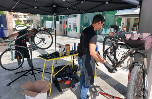 servis koles Nova Gorica