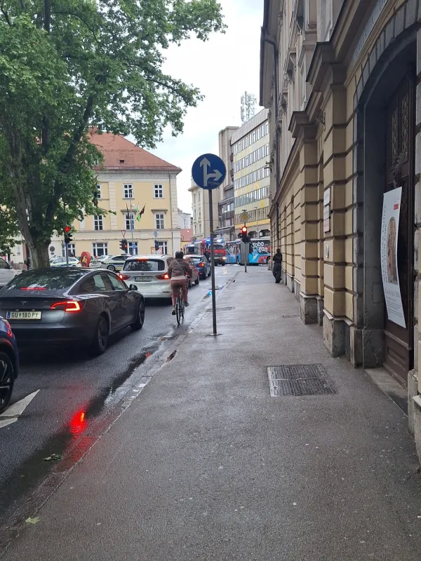 Ljubljana, avtobus je povozil pe&scaron;akinjo
