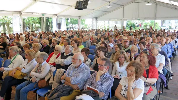 Fenomen navdu&scaron;evanja nad zgodovino si v Sloveniji &scaron;e prizadevajo zanetiti