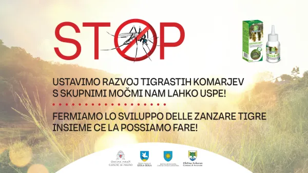 Občine slovenske Istre znova skupaj v preventivni akciji zoper tigraste komarje