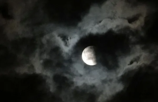 polna luna