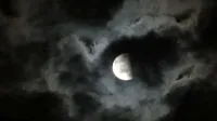 polna luna