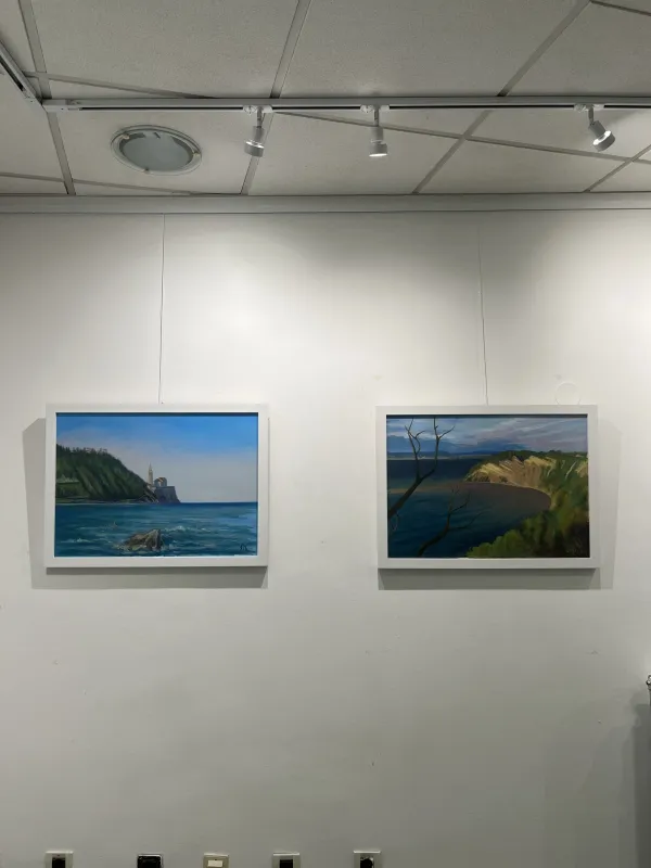Razstava Dragice Su&scaron;anj v Pavlovčevi galeriji.