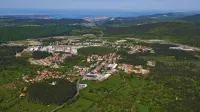 Hrpelje Kozina