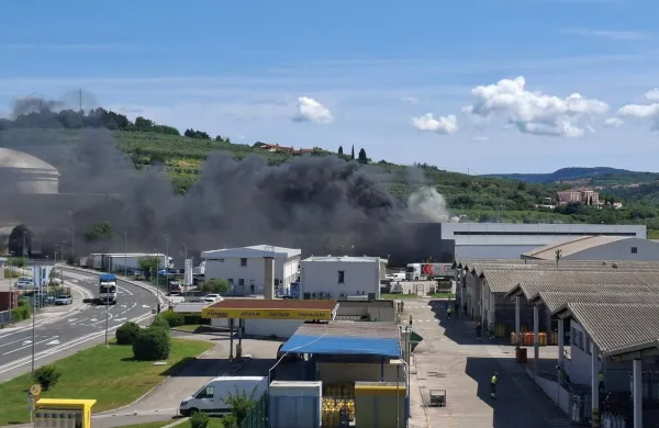 V požaru na Srminu dva delavca opečena