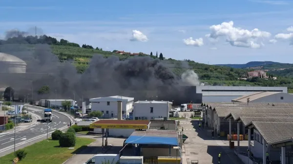 V požaru na Srminu dva delavca opečena