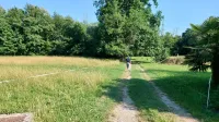 V Vrtojbi bodo uredili botanični park, kot ga pri nas &scaron;e ni