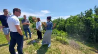 Voj&scaron;čica bo v soboto gostila Tabr - Festival ka&scaron;telirjev