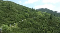 Regijski park Snežnik,